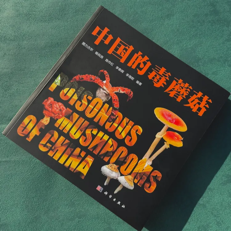 中国的毒蘑菇：好看的蘑菇，不一定有毒；不好看的蘑菇，不一定没毒。
