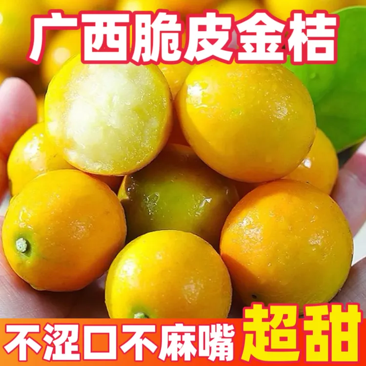 广西脆皮金桔蜜甜多汁应季水果滑皮金桔桂林融安小金桔正宗新鲜