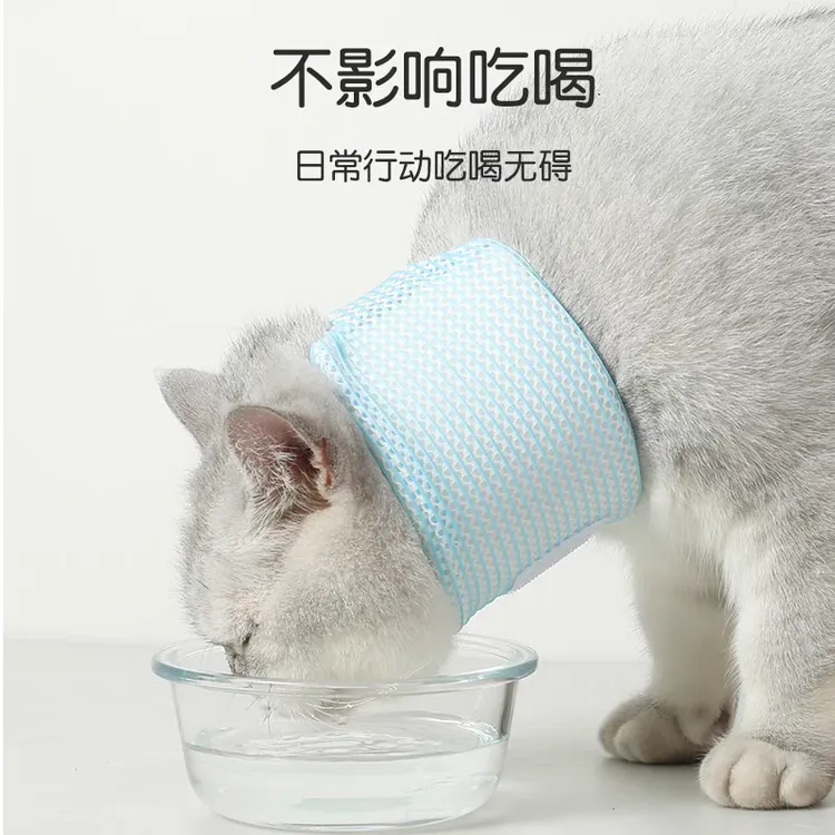 宠物脖套护颈猫咪伊丽莎白圈术后绝育防舔防抓颈椎支撑脖子狗头套