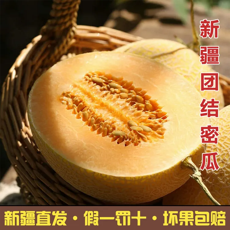 【产地直发】新疆团结哈密瓜应季水果现摘现发脆甜可口火焰蜜瓜