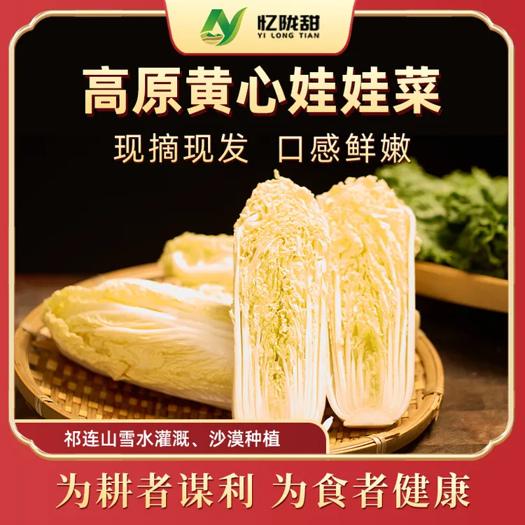 【忆陇甜】甘肃高原黄心娃娃菜蔬菜产地直发5斤装顺丰包邮高原夏菜