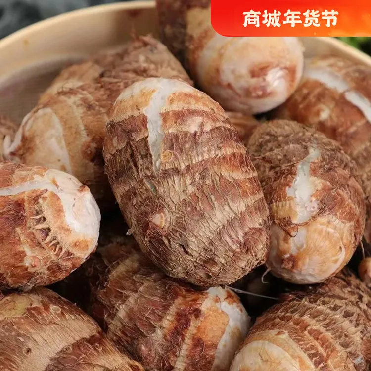 牛奶芋头芋艿香芋新鲜应季现挖现发产地直销香甜软糯芋头净重包邮