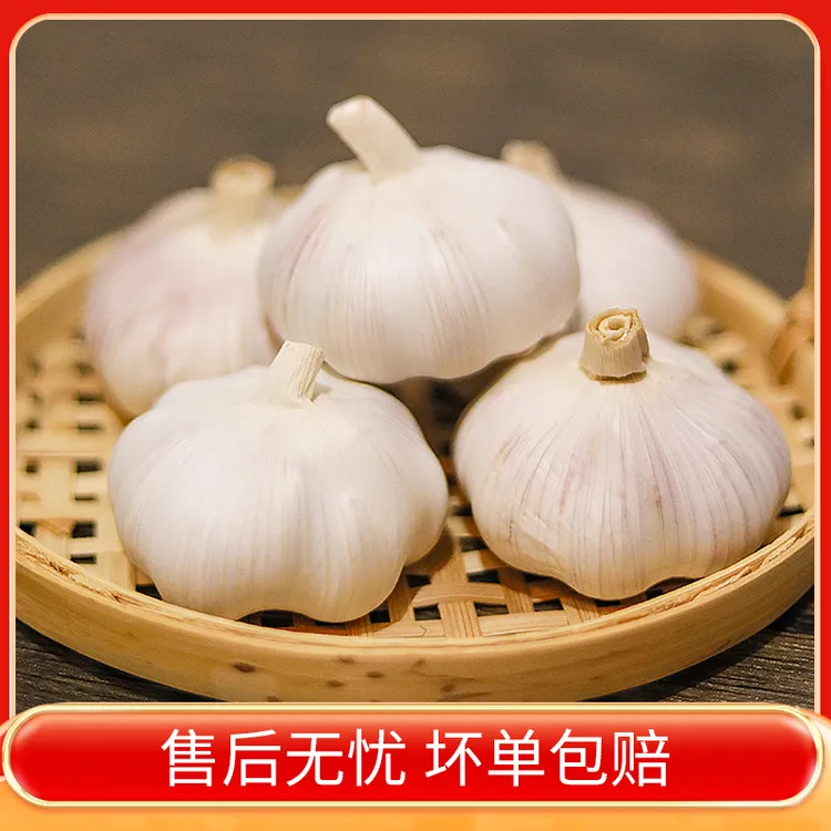 【大夏臻品】2025年新干蒜紫白皮大蒜头批发新大蒜蒜头干蒜