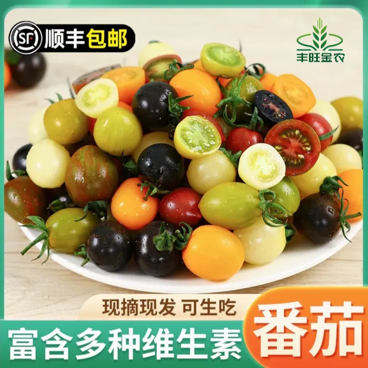 【顺丰】多彩小番茄圣女果多色混装酸甜多汁新鲜采摘千禧西红柿包邮