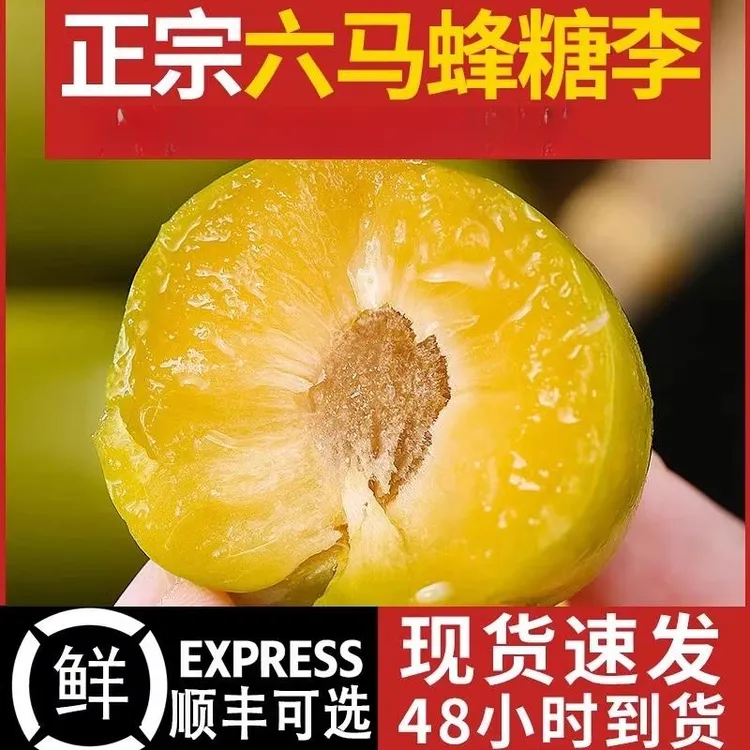 正宗贵州安顺六马蜂糖李 新鲜现摘孕妇水果脱骨蜂蜜甜李子顺丰