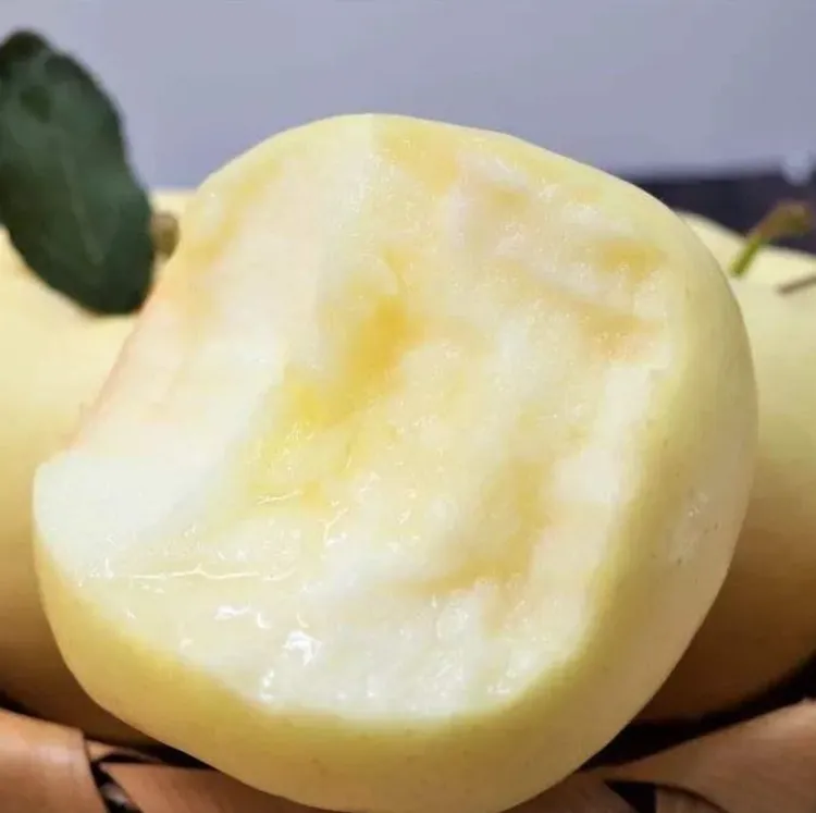 【好吃品种】奶油富士 奶味十足 果肉香甜 脆爽可口自吃送人