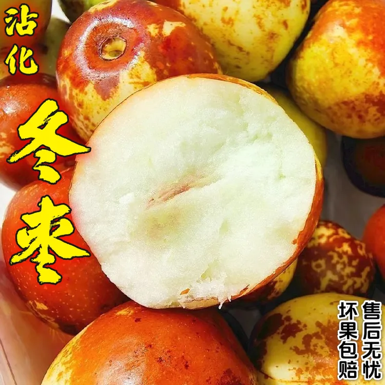 山东沾化冬枣皮薄脆甜多汁当季新鲜水果现摘现发