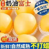 【2025年新果】山东烟台奶油富士苹果正品脆甜多汁可口原产地直发 