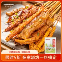 蜀中桃子姐烧烤调料蘸料家用川味烤串调味品麻辣腌制料包200g*1袋