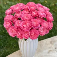 【云舍花卉】【胭脂公主】多头玫瑰全场任意满两单及以上鲜花包邮发货