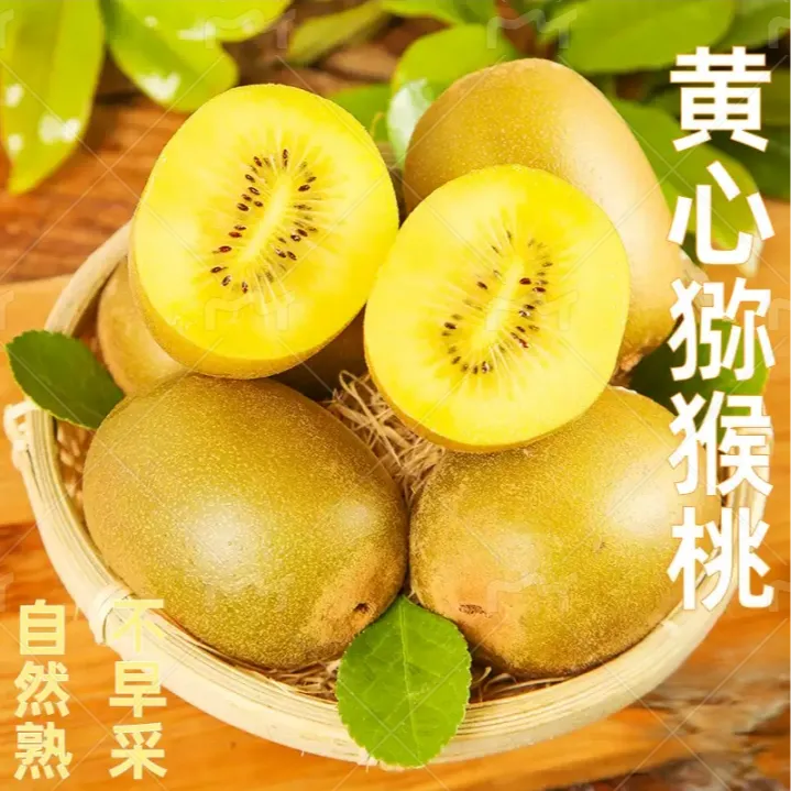 【坏果包赔】正宗黄心猕猴桃爆甜多汁现采现摘产地直发香甜软糯新鲜