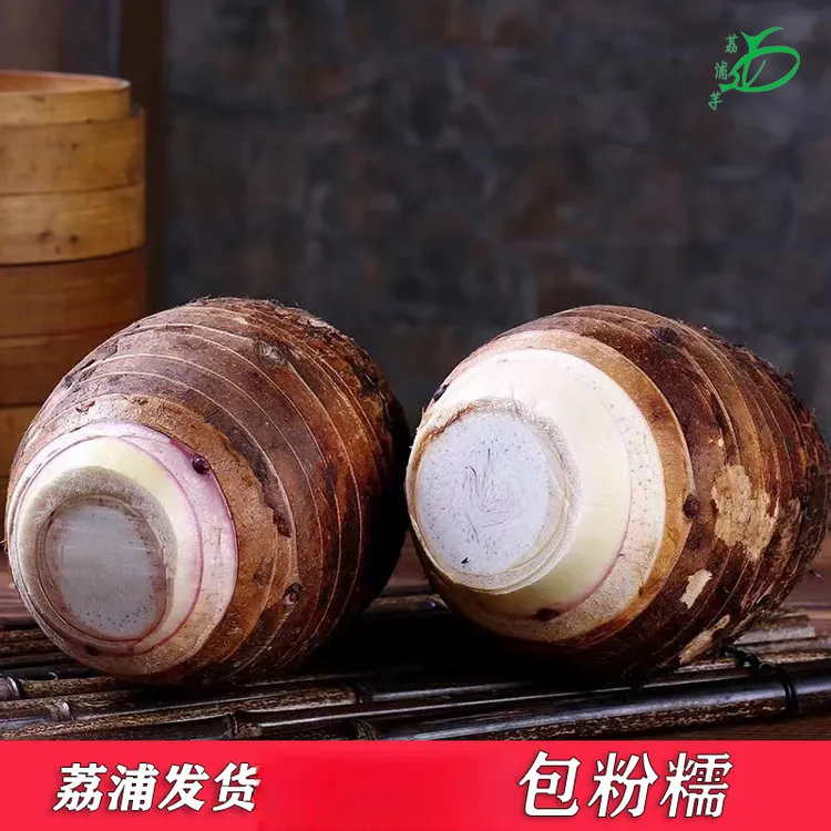 正宗广西荔浦芋头产地发货香芋新鲜蔬菜火锅食材2/3/5/9斤商品图