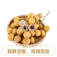 龙眼漳浦土龙眼新鲜龙眼新鲜水果当季水果现摘现卖大果1.5元/斤