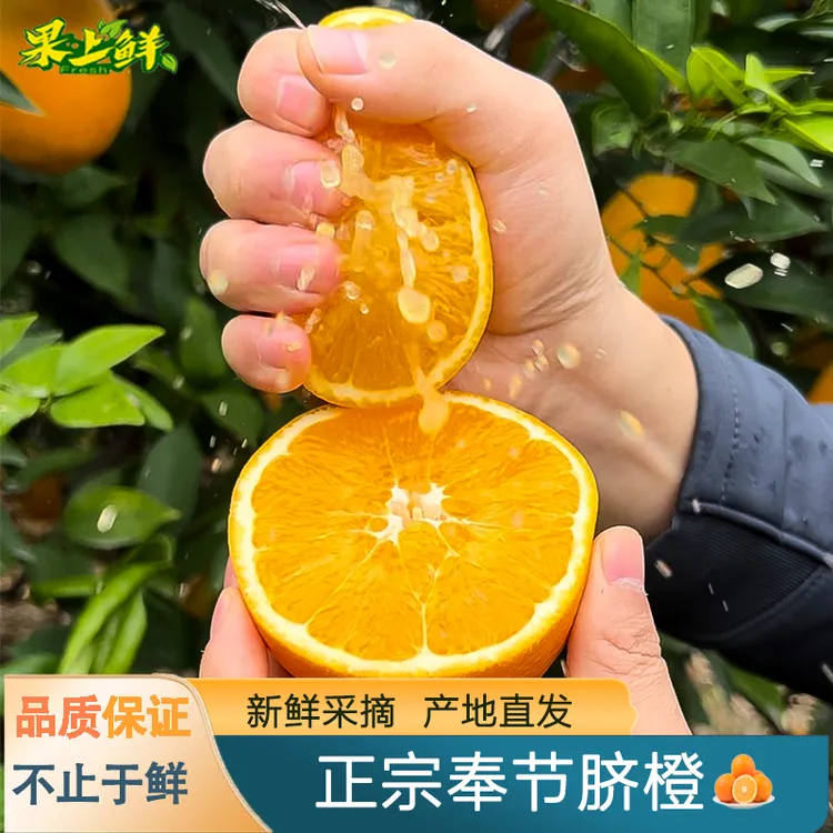 正宗奉节脐橙新鲜当季鲜橙化渣多汁膳食纤维橙子纽荷尔