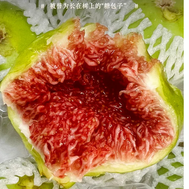 威海特产青皮无花果树上熟现摘现发顺丰包邮2-3斤山东