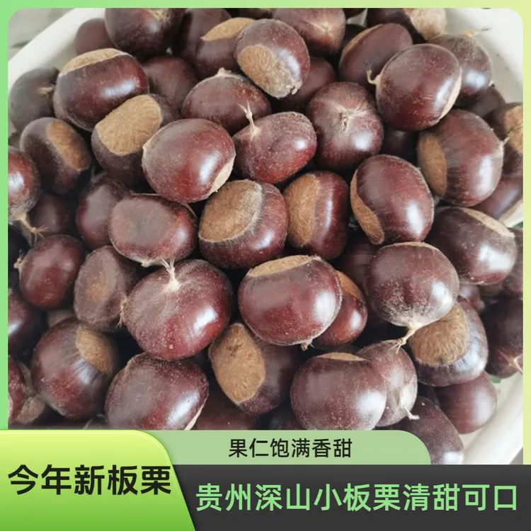 【好剥皮】贵州新鲜小板栗生圆栗油栗当季美味