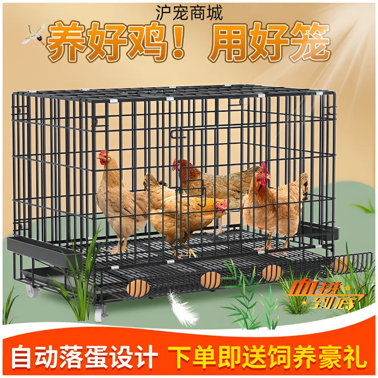 镀锌鸡笼子家用下蛋养鸡室内室外大号特大号加厚鸡舍鸭笼子防生锈