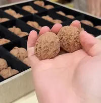 文玩核桃（多样性发其一）