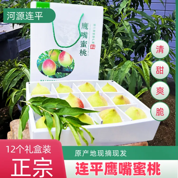 上坪印象【12个】广东河源连平鹰嘴桃当季新鲜脆甜水蜜桃子整箱