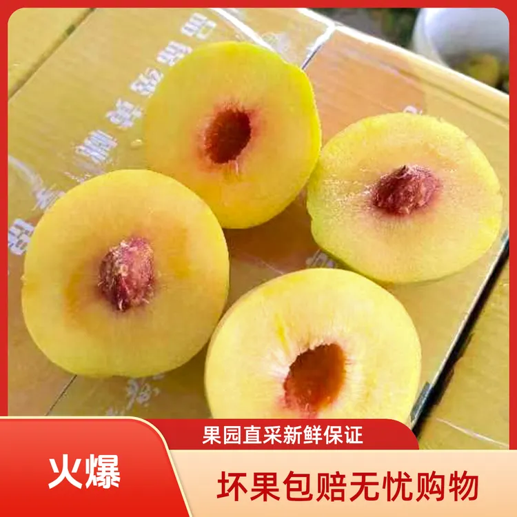 湖北荆州锦绣黄桃果园直采收发坏果包赔