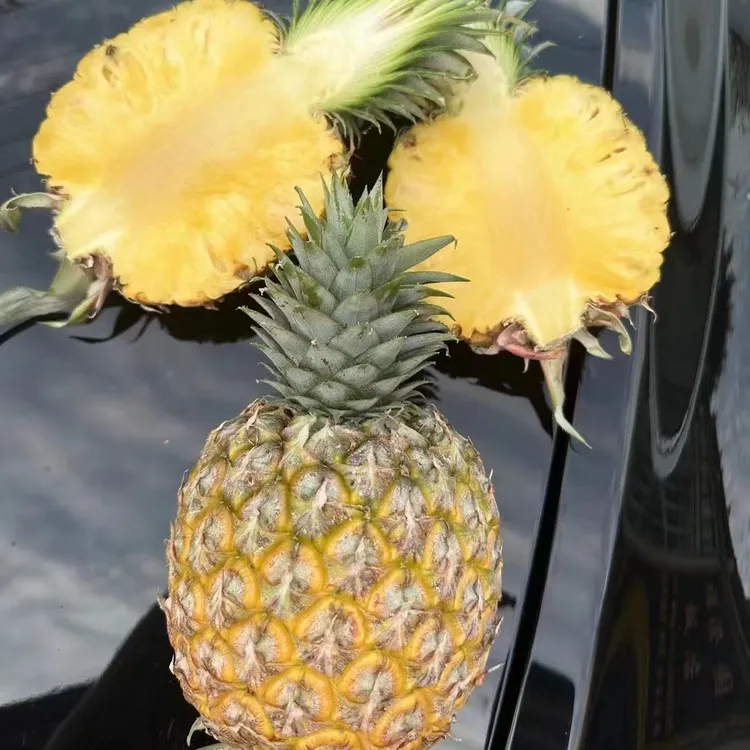 凤梨三拼，手撕凤梨+金钻凤梨+芒果凤梨，海南顺丰包邮8.2-8.5斤