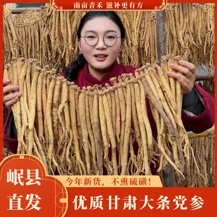 【当季新货】甘肃白条党参 大条无硫 3年生精选整条党参可泡水煮粥 