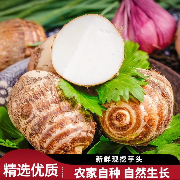 正宗新鲜云南牛奶芋头芋艿香芋粉糯农家自种小芋头毛芋头甜糯
