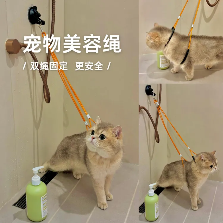 猫咪洗澡固定器宠物美容台吊绳狗狗固定绳家用猫防挣脱保定绳吸盘