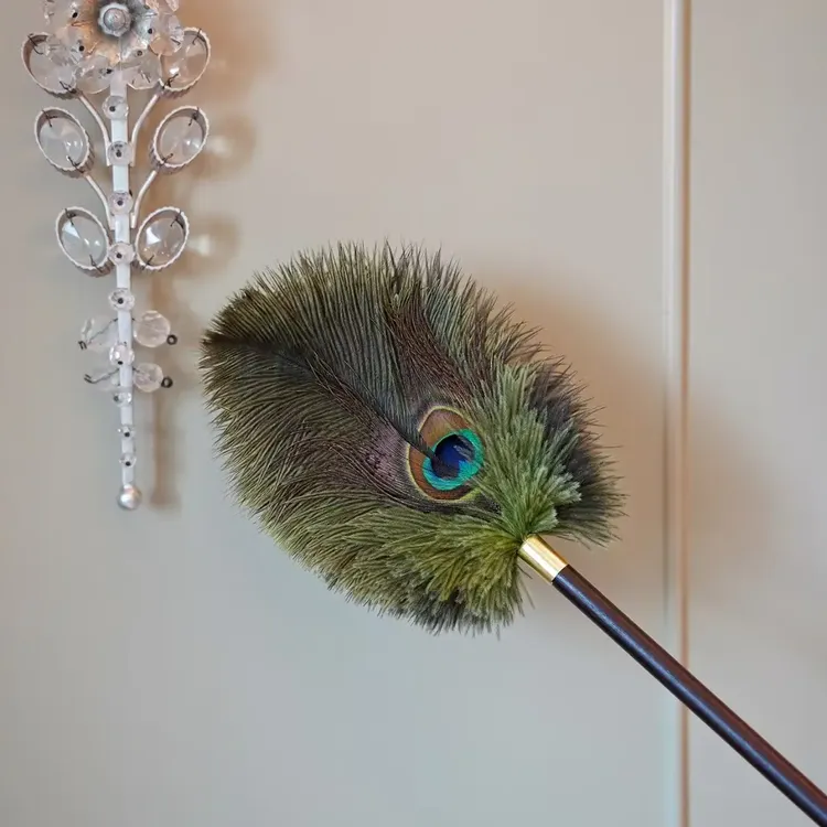 【达人专属】孔雀鸵鸟毛防静电胡桃色手柄除尘掸家用高档装饰