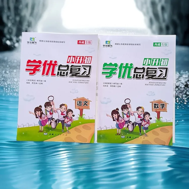 西藏专版学优总复习 数学 语文