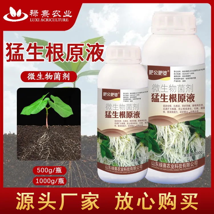 肥公肥婆猛生根原液强力生根剂移栽扦插果树花卉促植物通用生根剂