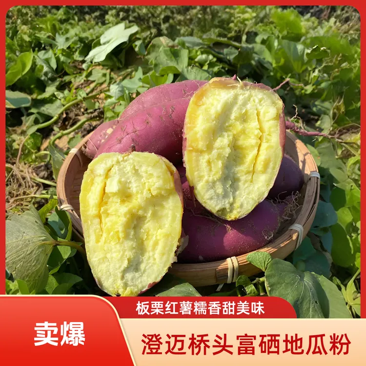 【圆果】海南澄迈桥头富硒地瓜粉糯香甜板栗红薯新鲜现挖农家红薯