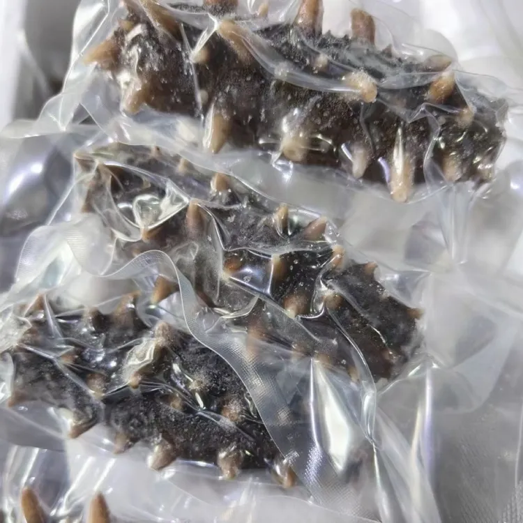 大连鲜食海参独立包装开袋即食