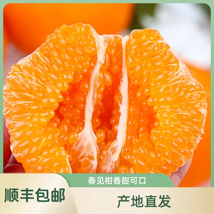 四川正宗春见耙耙柑粑粑柑橘子甜耙耙柑新鲜水果甜丑桔现摘当顺丰