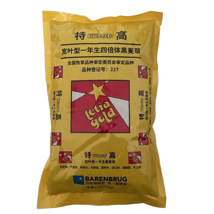 特高四倍体黑麦草种子四季耐寒畜牧养殖喂鹅鸡牛羊鱼鱼牧草种籽
