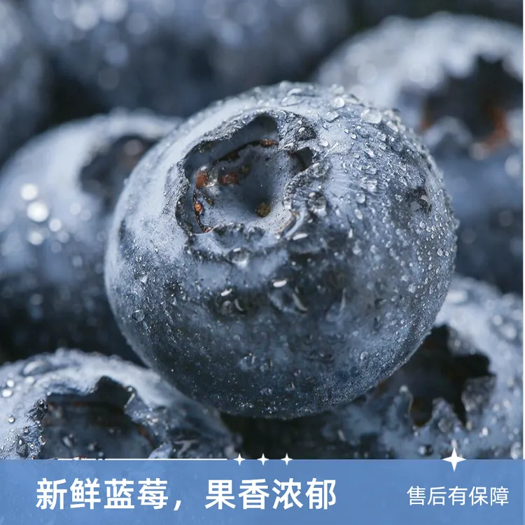 云南L25花香蓝莓生鲜顺丰空运水果花香脆甜口感100%天然雪山蓝莓