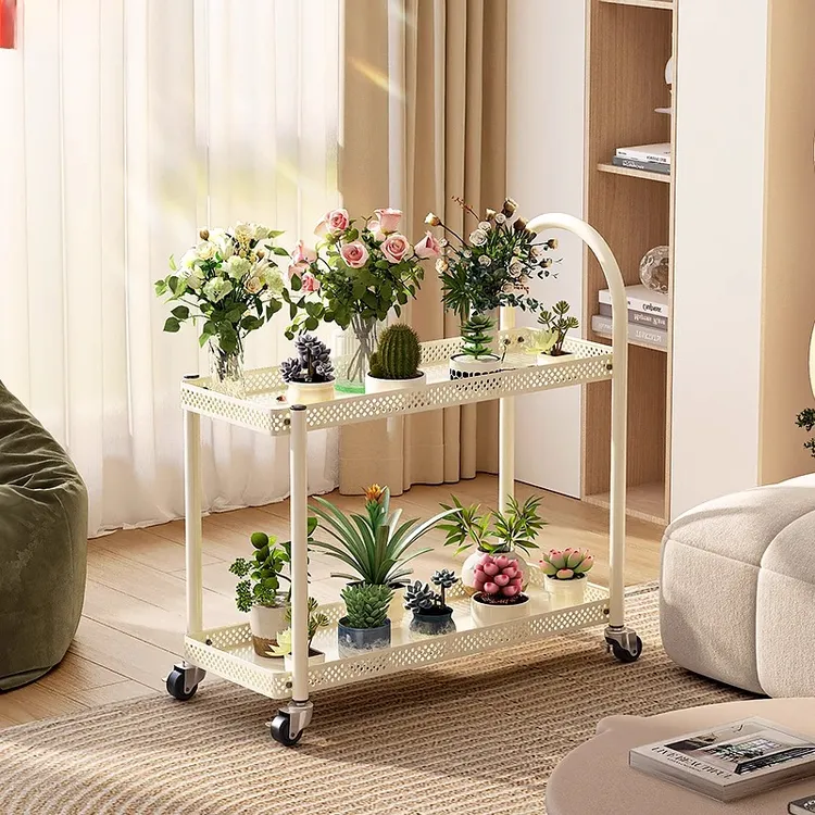 锦绣百年阳台花架2025新款室内客厅双层多肉铁艺置物架花盆架庭院