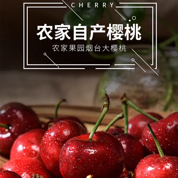 山东烟台自家果园现摘现发红灯大樱桃