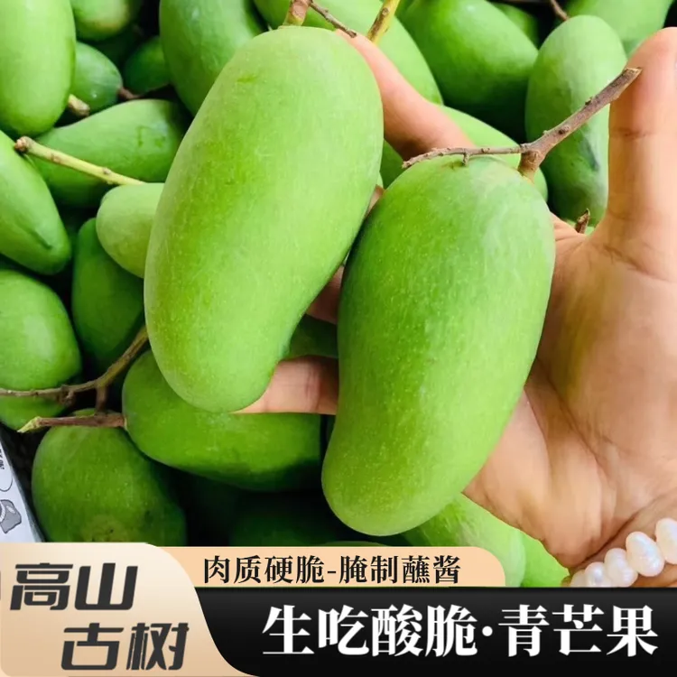 云南生吃酸芒果蘸酱腌制脆绿青象牙芒无核孕妇酸野潞江坝水果顺丰