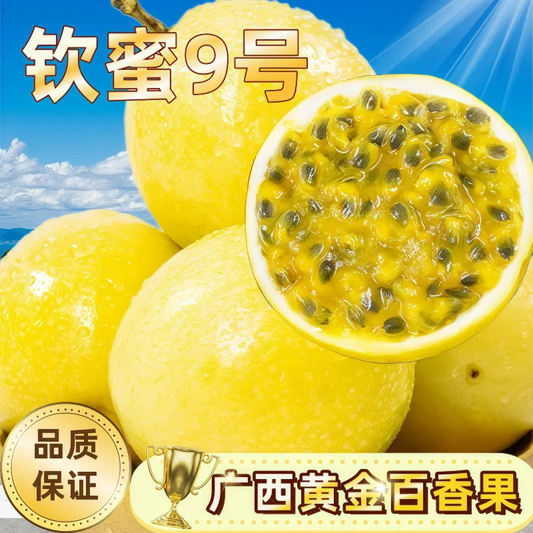【广西正宗】新鲜当季钦蜜9号百香果香甜多汁口感