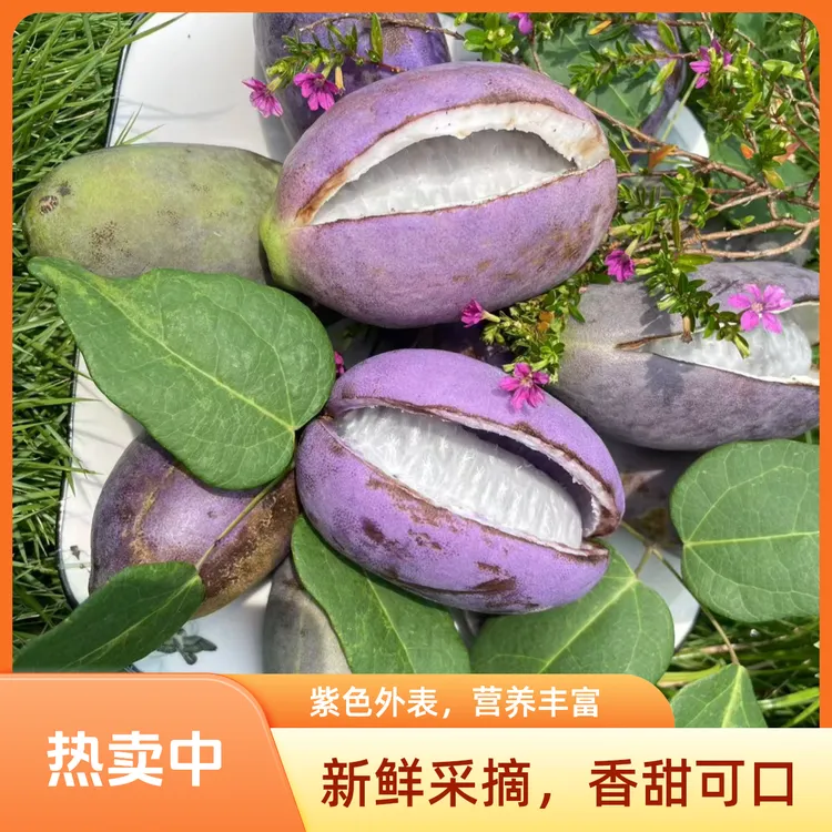 迷你小果八月瓜新鲜现摘软糯香甜当季水果顺丰包邮