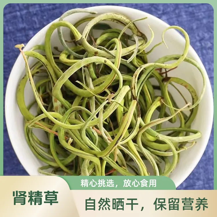 长白山肾精草黄金草正品嗷嗷叫肾精茶泡水喝野生肾精草化石草