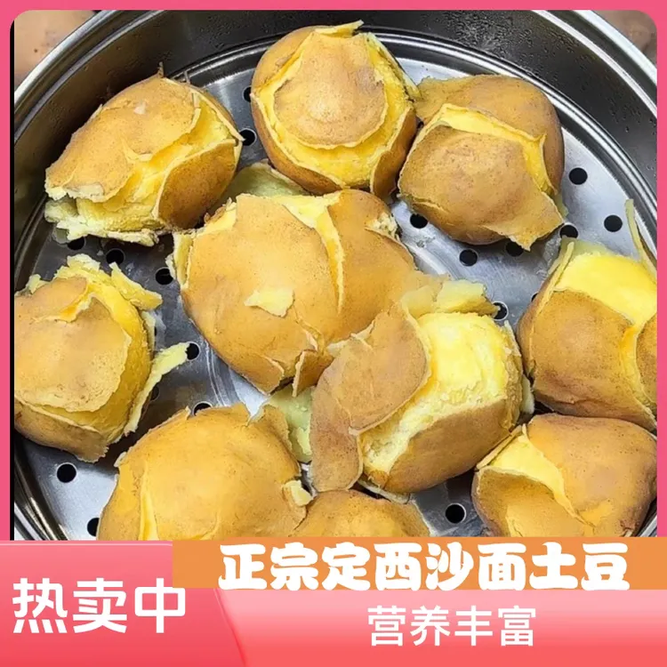 甘肃定西粗皮现挖正宗黄心老品种农家种植粉糯沙面土豆洋芋马铃薯