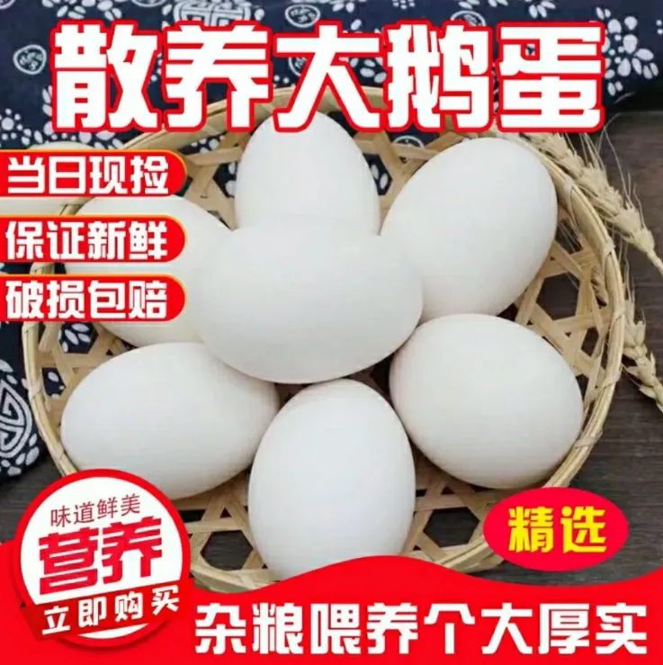 新鲜现捡正宗农家谷饲散养20枚土鹅蛋营养健康整箱发货破损赔付