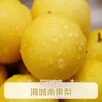 辽宁特产 海城正宗南果梨 放软再吃 4-4.5斤【T】