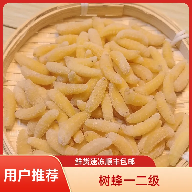 新鲜速冻一二级树蜂营养滋补云南特色野生马蜂精品顺丰冷链蜂蛹