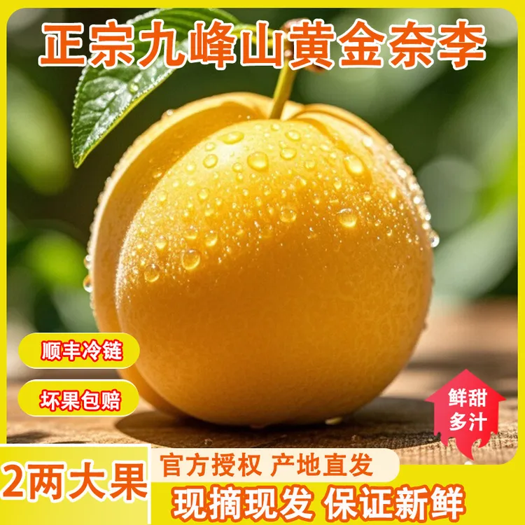 韶关乐昌九峰山黄金奈李新鲜应季水果冰糖蜂蜜脆甜大李子顺丰发货