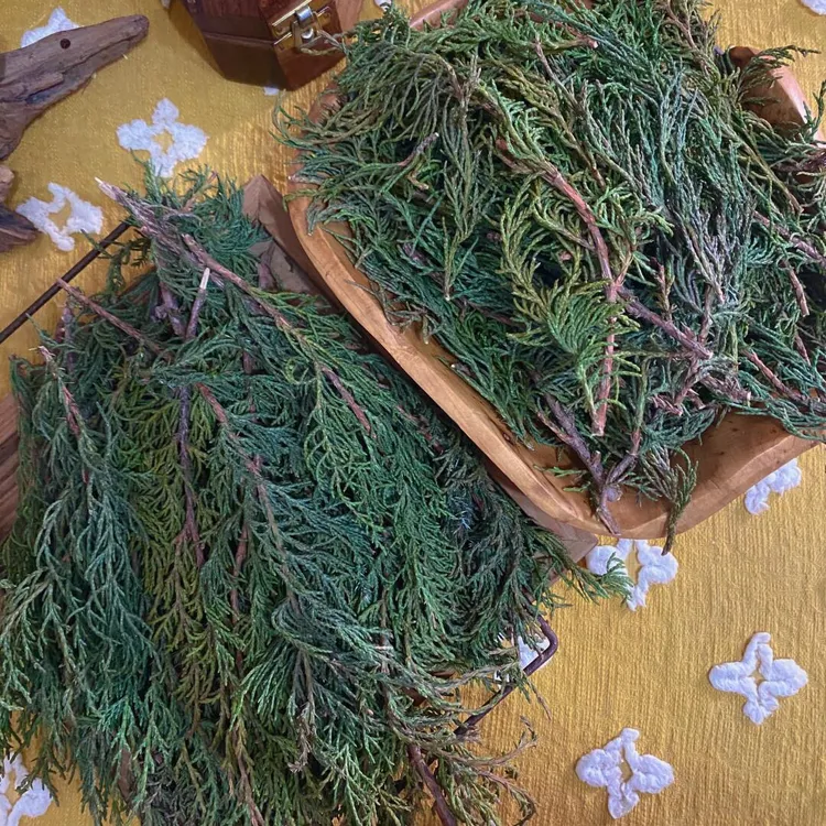 藏香柏青藏高原天然植物藏香家用香薰疗愈舒缓