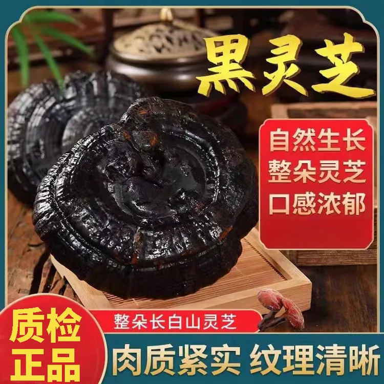 正品长白山野生灵芝250g-500g干货黑灵芝紫灵芝林芝整枝野灵芝