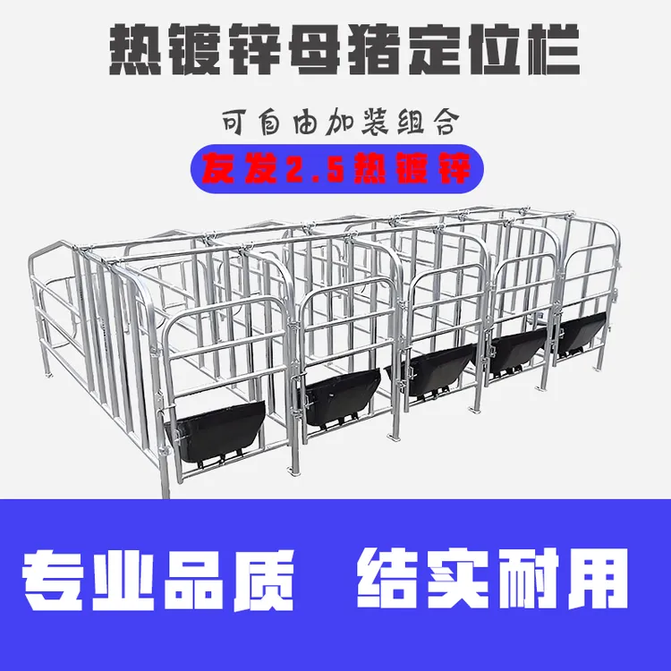 友发2.5厚热镀锌60宽加厚落地母猪定位栏母猪限位栏养猪场